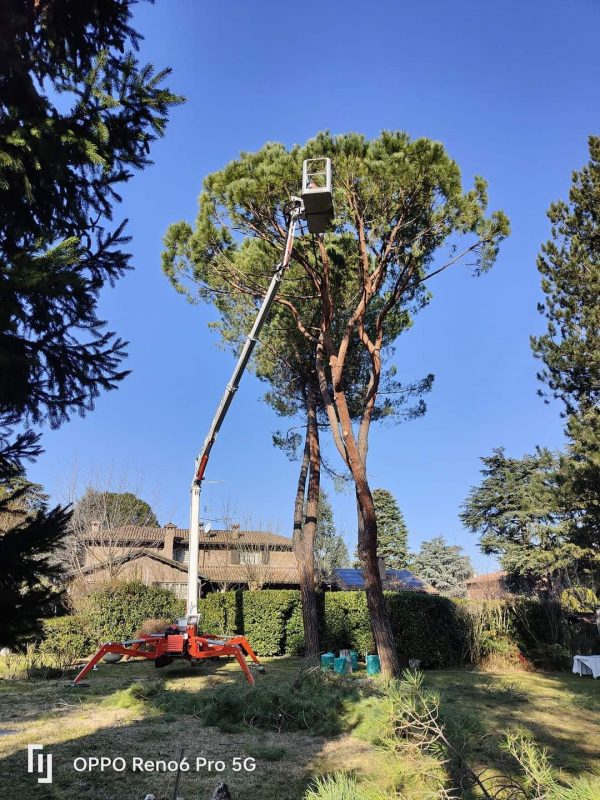 BINIGRU EASY LIFT RA31 6